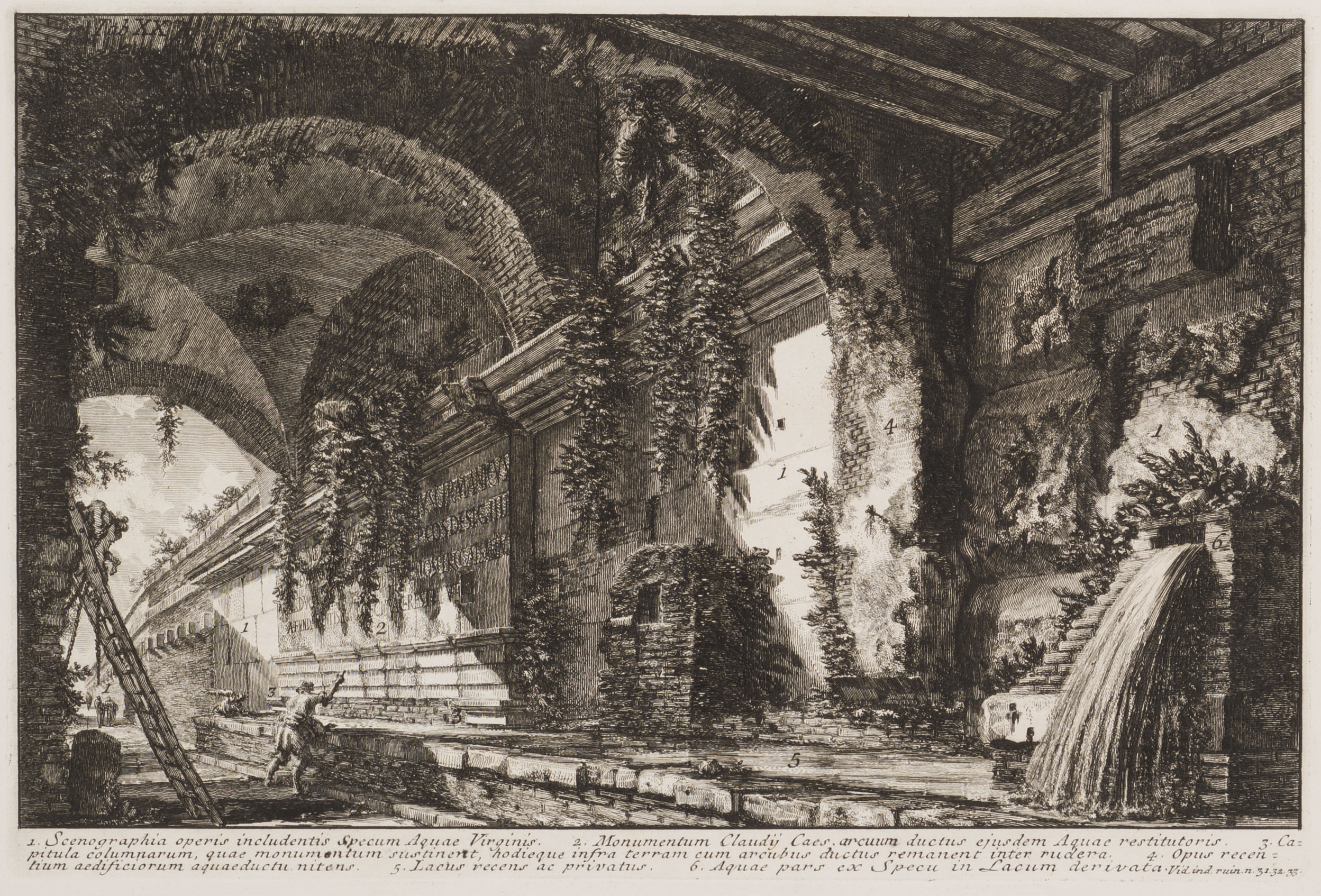 An engraving depicting a room surrounded by lush plants.