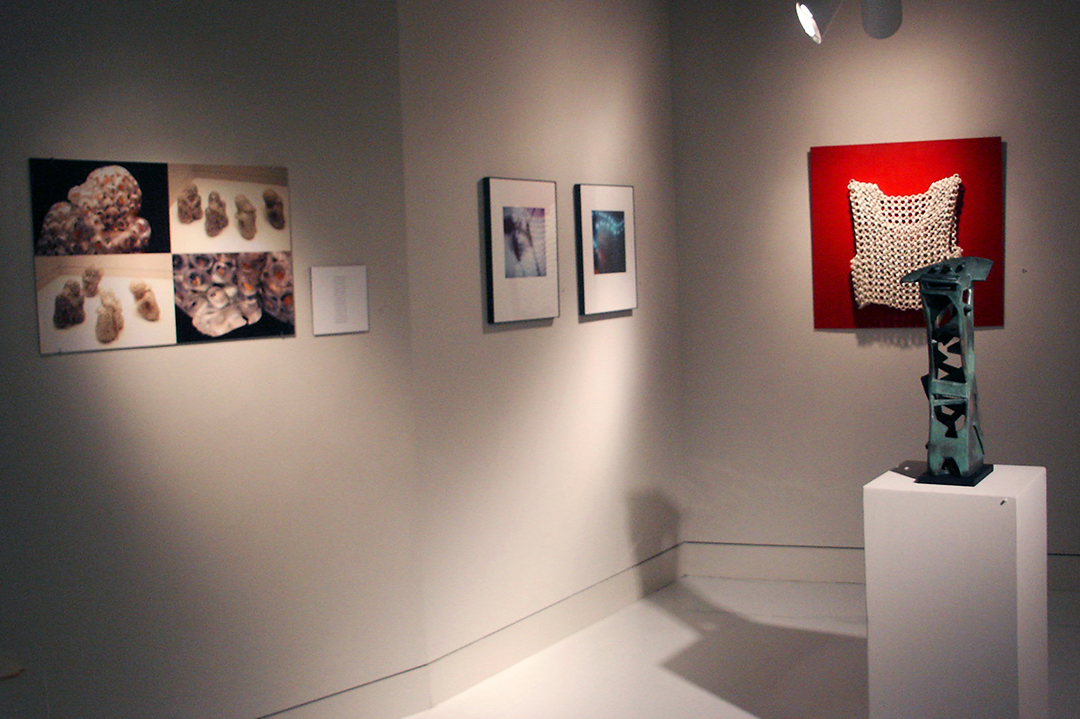 Artwork installed in a gallery