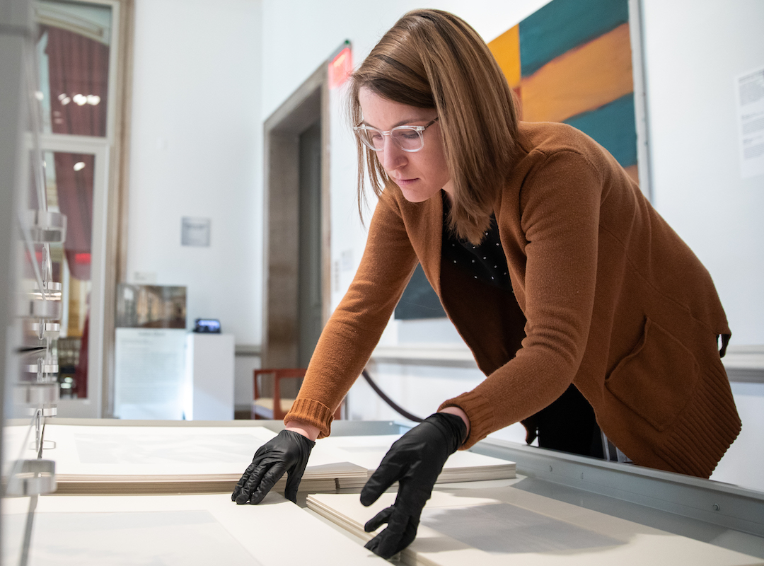 Woman wearing nitrile gloves reaches into a drawer of a flat file to pull out artwork in one of the galleries of the Luther W. Brady Art Gallery