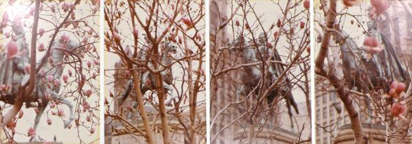 Jan Groover 312.15.11.6.4